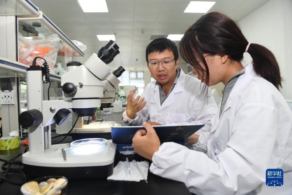 澳门二十一点游戏